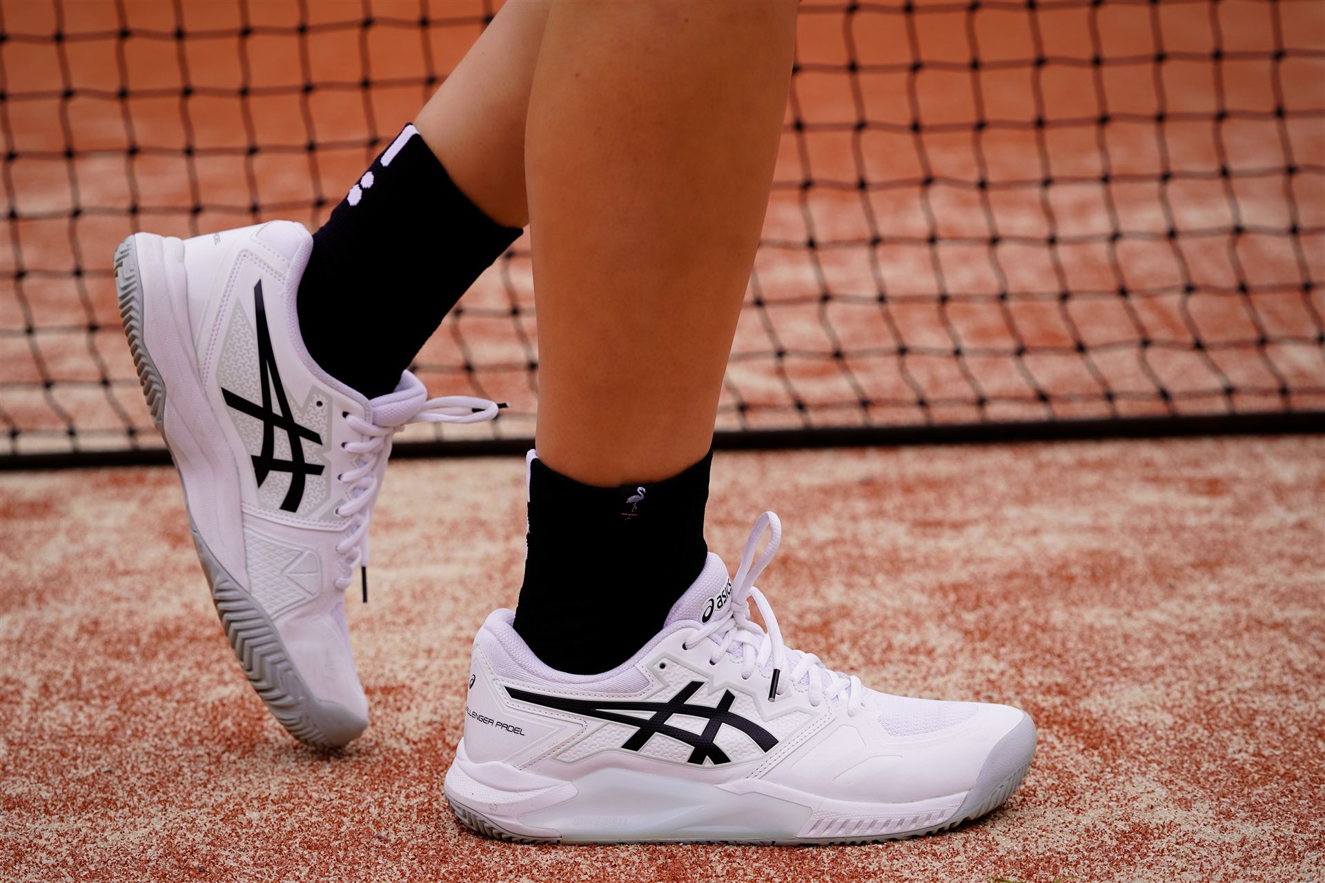 Flamingo Sports